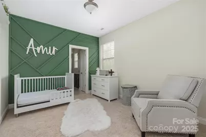 17013 Luvera Lane, Charlotte, NC 28278 - Photo 28