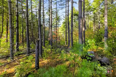 0 West Point Drive, Nebo, NC 28761 - Photo 4