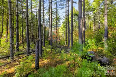 0 West Point Drive, Nebo, NC 28761 - Photo 4