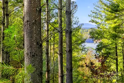 0 West Point Drive, Nebo, NC 28761 - Photo 1