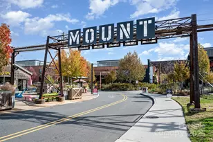 3252 Bending Birch Ln, Charlotte, NC 28206 - Photo 42