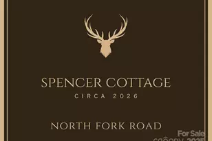 334 N Fork Rd, Black Mountain, NC 28711 - Photo 2