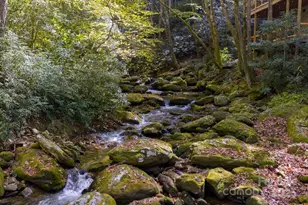 187 Big Buck Rd, Highlands, NC 28741 - Photo 12