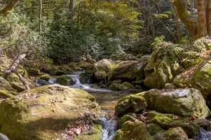 187 Big Buck Rd, Highlands, NC 28741 - Photo 28