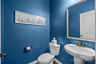 9342 Ainslie Downs St, Charlotte, NC 28273 - Photo 10