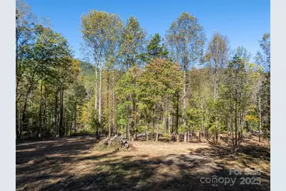 3298 Buffalo Creek Road, Lake Lure, NC 28746 - Photo 16
