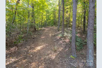 3298 Buffalo Creek Road, Lake Lure, NC 28746 - Photo 2