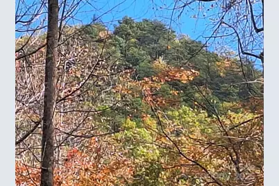 3298 Buffalo Creek Road, Lake Lure, NC 28746 - Photo 20