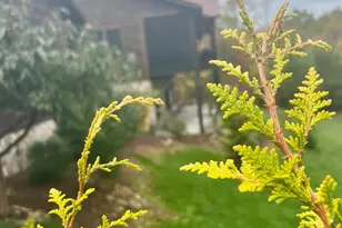 80 Grandview Loop, Nebo, NC 28761 - Photo 38