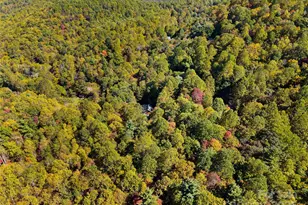 1308 Bell Mountain Rd, Zirconia, NC 28790 - Photo 38