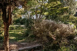 95 Aurora Dr, Asheville, NC 28805 - Photo 4