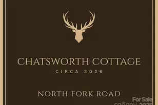 334 N Fork Rd, Black Mountain, NC 28711 - Photo 2