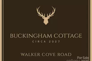 334 N Fork Rd, Black Mountain, NC 28711 - Photo 2