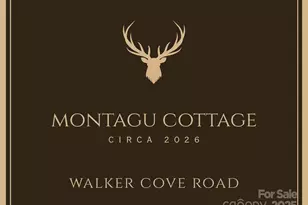 334 N Fork Rd, Black Mountain, NC 28711 - Photo 2