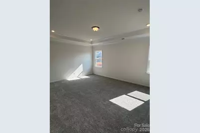 10221 Whitaker Pointe Drive, Huntersville, NC 28078 - Photo 24