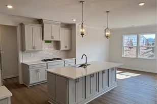 10221 Whitaker Pointe Dr, Huntersville, NC 28078 - Photo 8