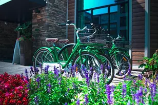 6408 Providence Farm Ln, Charlotte, NC 28277 - Photo 34