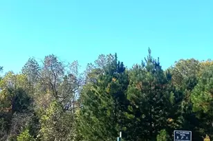 8187 Sheffield Dr., Terrell, NC 28682 - Photo 26