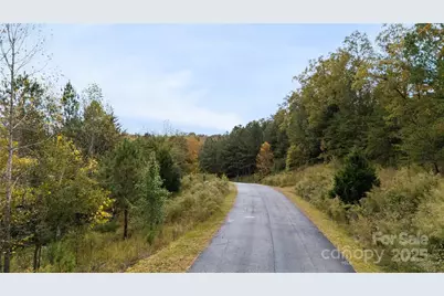 142 Broad River Highlands Drive, Mooresboro, NC 28114 - Photo 4