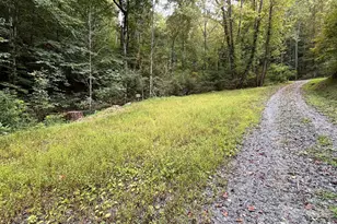 2381 Little Pine Rd, Marshall, NC 28753 - Photo 38