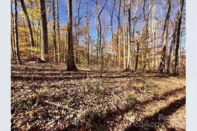 2381 Little Pine Road, Marshall, NC 28753 - Photo 36