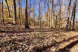 2381 Little Pine Rd, Marshall, NC 28753 - Photo 36