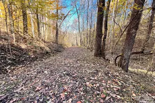 2381 Little Pine Rd, Marshall, NC 28753 - Photo 40