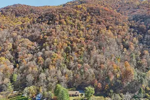 480 Paint Fork Rd, Barnardsville, NC 28709 - Photo 40