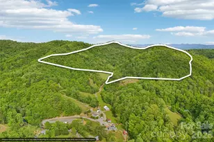590 Willow Ln, Marshall, NC 28753 - Photo 42