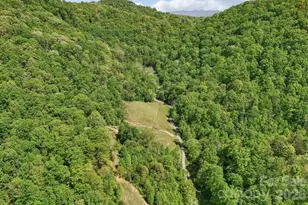 590 Willow Ln, Marshall, NC 28753 - Photo 34