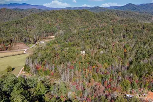 4441 Snyder's Way, Lenoir, NC 28645 - Photo 22