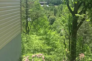 212 Brigsy Ln, Whittier, NC 28789 - Photo 44
