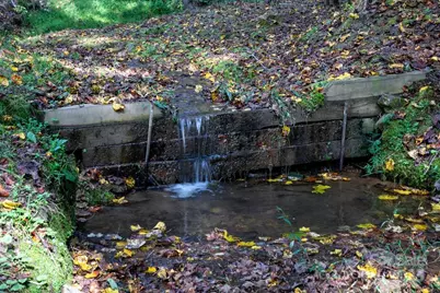 165 Orchard Lane, Brevard, NC 28712 - Photo 42