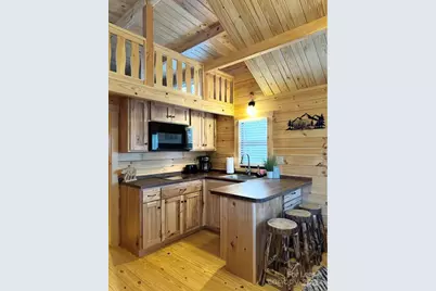 119 Coyote Drive, Marion, NC 28752 - Photo 4