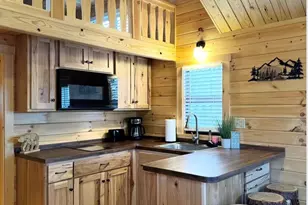 119 Coyote Dr, Marion, NC 28752 - Photo 4