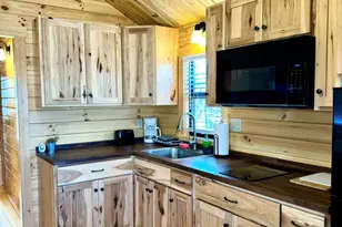 61 Coyote Dr, Marion, NC 28752 - Photo 2