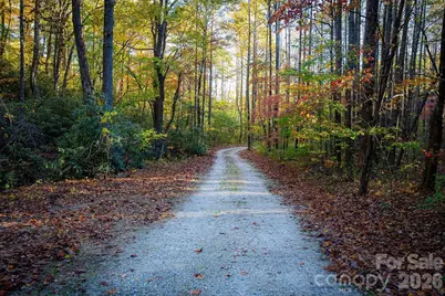 808 Mountain Cove Road, Hendersonville, NC 28792 - Photo 32