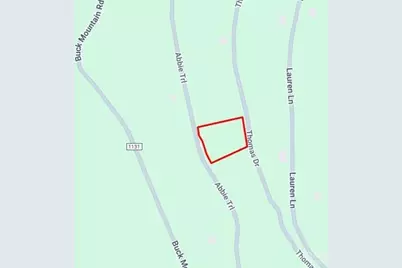 0000 Abbie Trail, West Jefferson, NC 28694 - Photo 2