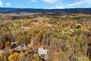 8 Alexander Chapel Dr, Asheville, NC 28804 - Photo 48