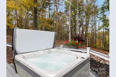 8 Alexander Chapel Drive, Asheville, NC 28804 - Photo 46