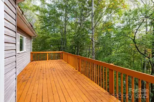 114 Courtney Ln, Candler, NC 28715 - Photo 28