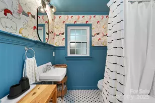 26 Duckworth Ave, Brevard, NC 28712 - Photo 18