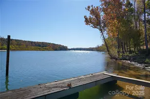 769 River Park Road, Belmont, NC 28012 - Photo 38