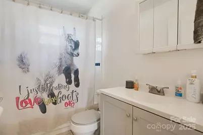 645 Flint Hill Road, Alexander, NC 28701 - Photo 10