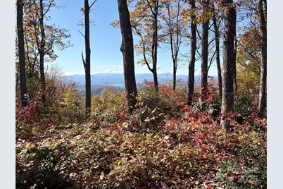 Lot 64 Feather Stone Drive, Fletcher, NC 28732 - Photo 1