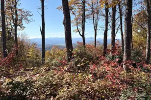 Lot 64 Feather Stone Dr, Fletcher, NC 28732 - Photo 1
