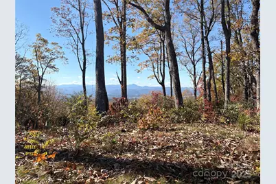 Lot 64 Feather Stone Drive, Fletcher, NC 28732 - Photo 2