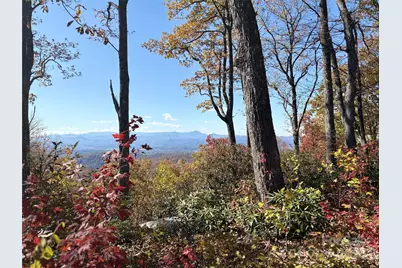 Lot 64 Feather Stone Drive, Fletcher, NC 28732 - Photo 4