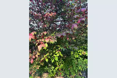 86 R and R Hyder Lane, Hendersonville, NC 28792 - Photo 26