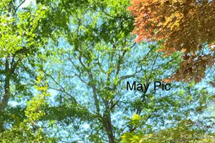 86 R and R Hyder Ln, Hendersonville, NC 28792 - Photo 34